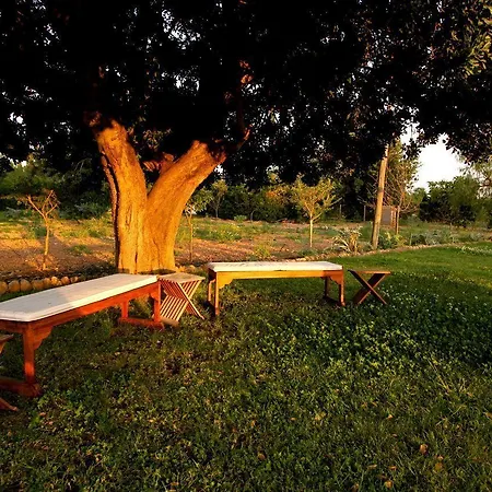 Farm stay Ca Na Susi